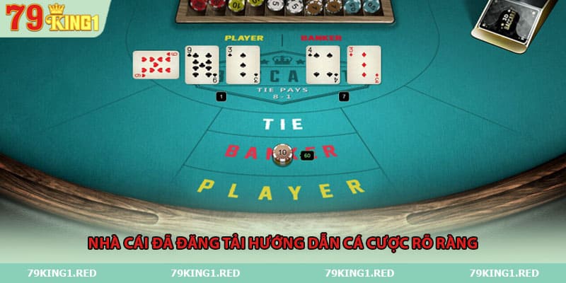 Nhà cái đã đăng tải hướng dẫn cá cược rõ ràng